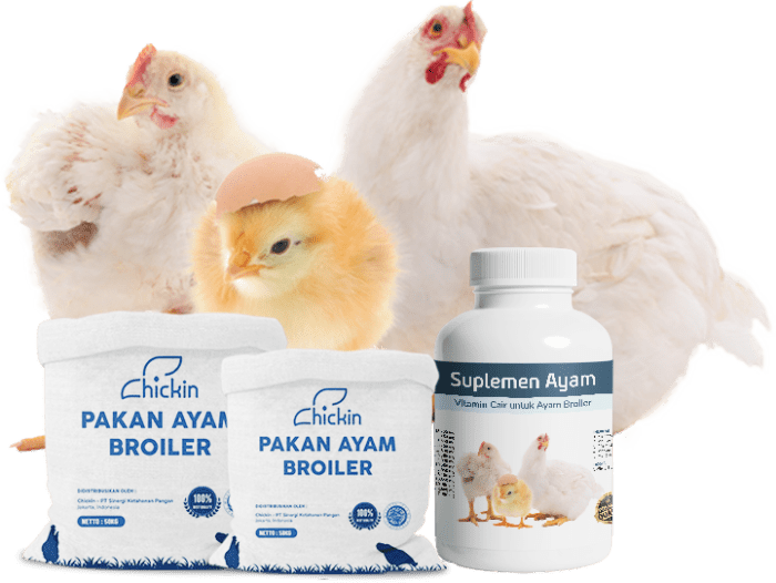 FCR Ayam Broiler di Ambarawa, Semarang