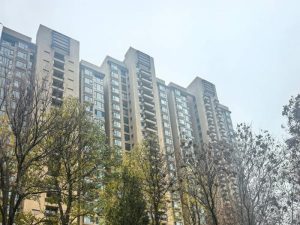 Latihan Ayam Bangkok di Bayan, Purworejo yang Efektif