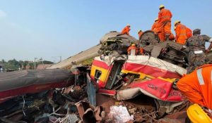 Harga Ayam Broiler di Loano, Purworejo Terkini