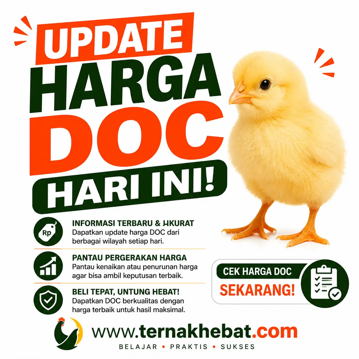 Harga Ayam Broiler di Bringin, Semarang