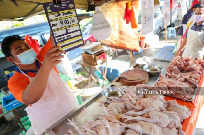 Harga Pakan Ayam di Wangon, Banyumas