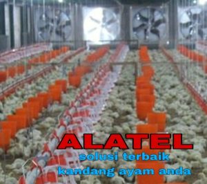 Blower Kandang Ayam di Adimulyo, Kebumen Meningkatkan Kesehatan