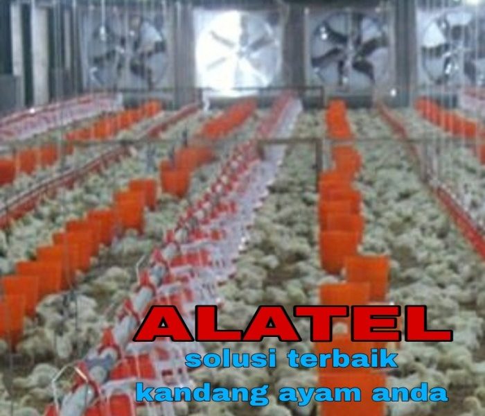 Blower Kandang Ayam di Adimulyo, Kebumen