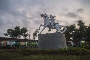 Harga DOC Hari Ini di Bayan, Purworejo Terbaru dan Terjangkau