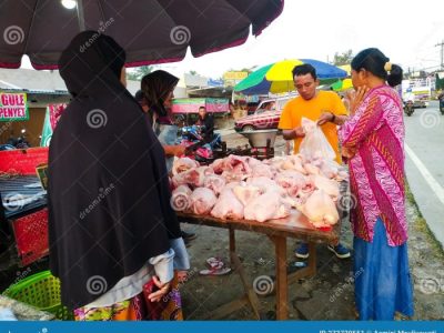 Harga Ayam Kampung di Sempor, Kebumen