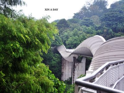 Ayam Sesak Nafas di Purwodadi, Purworejo