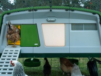 Kandang Ayam Otomatis di Sempor, Kebumen
