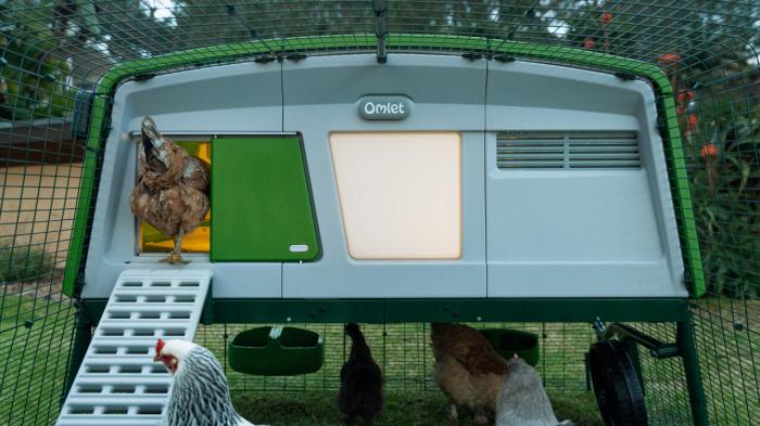 Kandang Ayam Otomatis di Sempor, Kebumen
