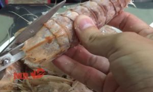 Mesin Pembuat Pakan Ayam di Pituruh, Purworejo Berkualitas