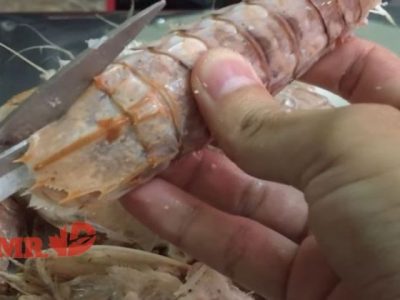 Mesin Pembuat Pakan Ayam di Pituruh, Purworejo