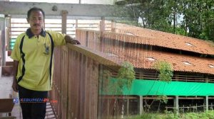 Cara Ternak Ayam di Kuwarasan, Kebumen Secara Efektif
