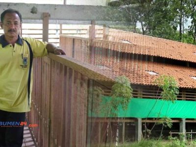 Cara Ternak Ayam di Kuwarasan, Kebumen