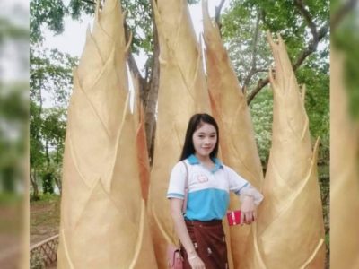 Cara Ternak Ayam di Padureso, Kebumen