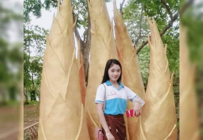 Cara Ternak Ayam di Padureso, Kebumen