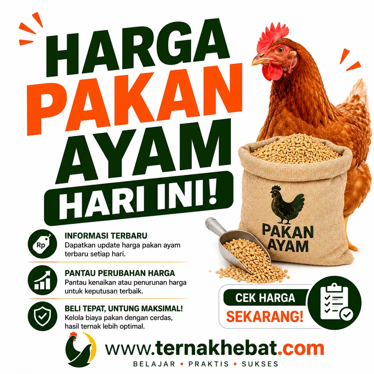 Kandang Ayam Mewah di Bringin, Semarang