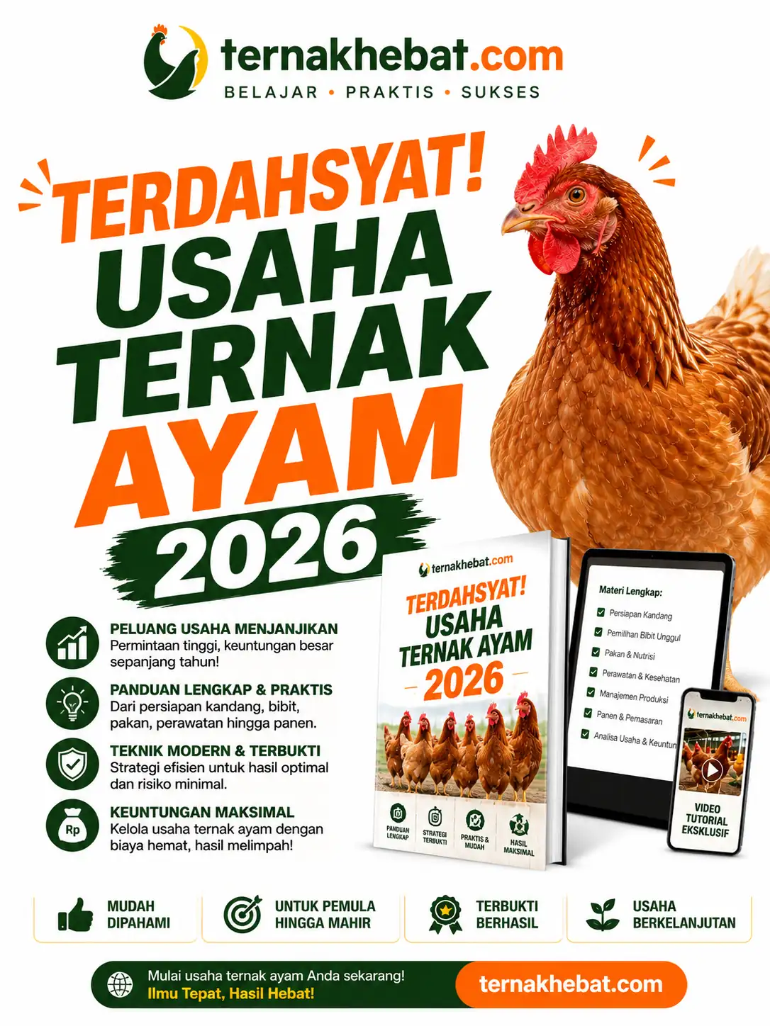 Alat Ternak Ayam di Bringin, Semarang