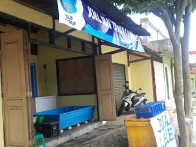 Jual Ayam Kampung di Bruno, Purworejo
