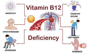 Vitamin Ayam Bangkok di Kemiri, Purworejo yang Penting