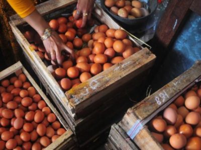 Harga Telur Hari Ini di Bener, Purworejo