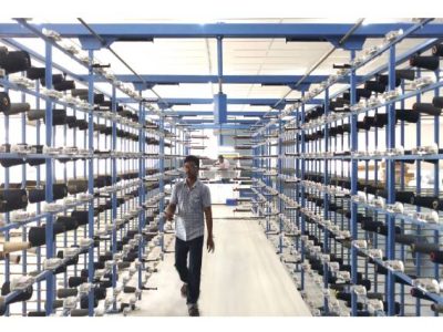 Harga Ayam Broiler di Prembun, Kebumen