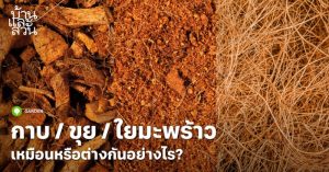 Cara Ternak Ayam Petelur di Purwodadi, Purworejo